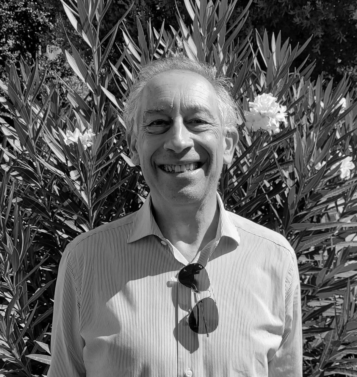 Giuseppe ScarasciaMugnozza European Forest Institute